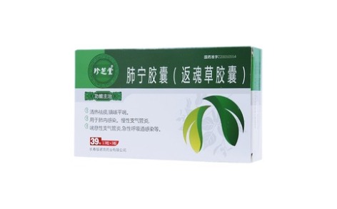 肺宁胶囊(银诺克)主图 肺宁胶囊(银诺克)主图