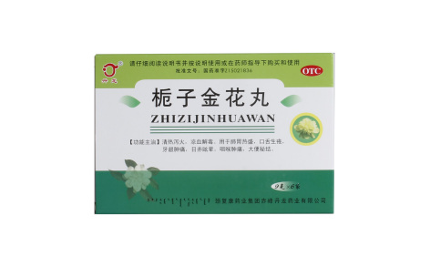 栀子金花丸(丹龙)主图 栀子金花丸(丹龙)主图