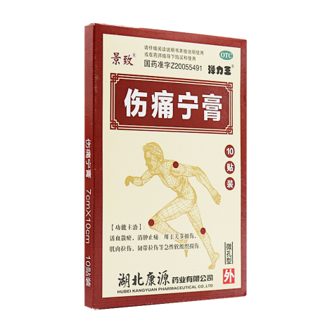 伤痛宁膏(康源)包装侧面图2 伤痛宁膏(康源)包装侧面图2