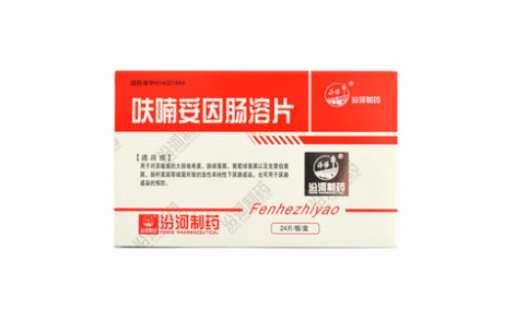 呋喃妥因肠溶片(汾河)主图 呋喃妥因肠溶片(汾河)主图