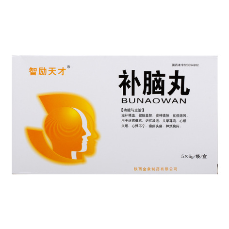 补脑丸(智励天才)包装主图 补脑丸(智励天才)包装主图