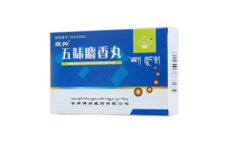 五味麝香丸(藏羚)主图 五味麝香丸(藏羚)主图