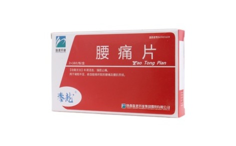 腰痛片(盘龙)主图 腰痛片(盘龙)主图