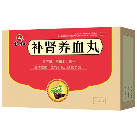 补肾养血丸(仁和)包装主图