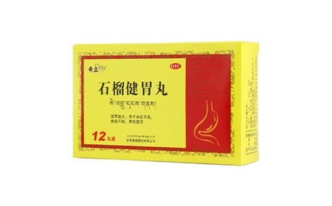 石榴健胃丸(奇正)主图 石榴健胃丸(奇正)主图