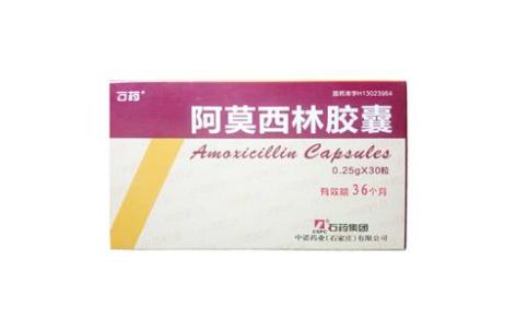 阿莫西林胶囊(中诺)主图 阿莫西林胶囊(中诺)主图