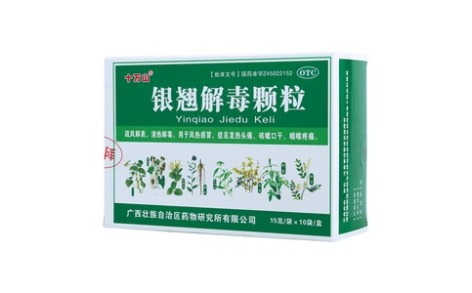 银翘解毒颗粒(十万山)主图 银翘解毒颗粒(十万山)主图