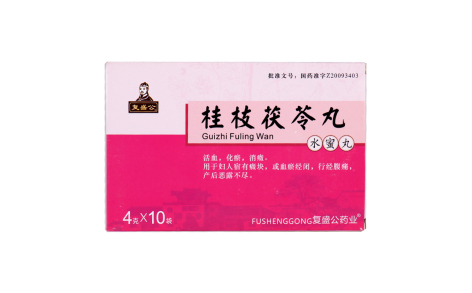 桂枝茯苓丸(复盛公)主图 桂枝茯苓丸(复盛公)主图