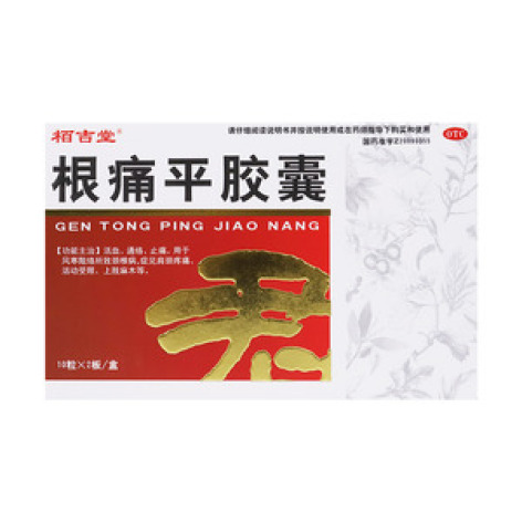 根痛平胶囊(羚康)包装主图 根痛平胶囊(羚康)包装主图