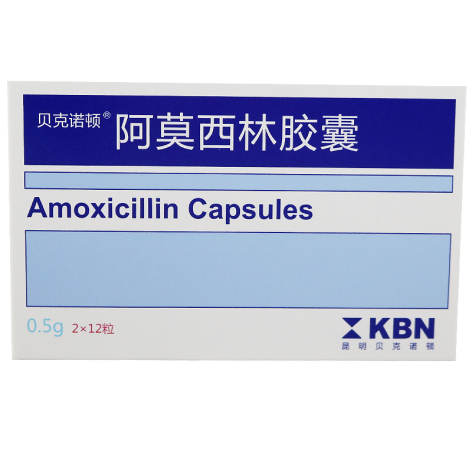 阿莫西林胶囊(贝克诺顿)包装主图 阿莫西林胶囊(贝克诺顿)包装主图