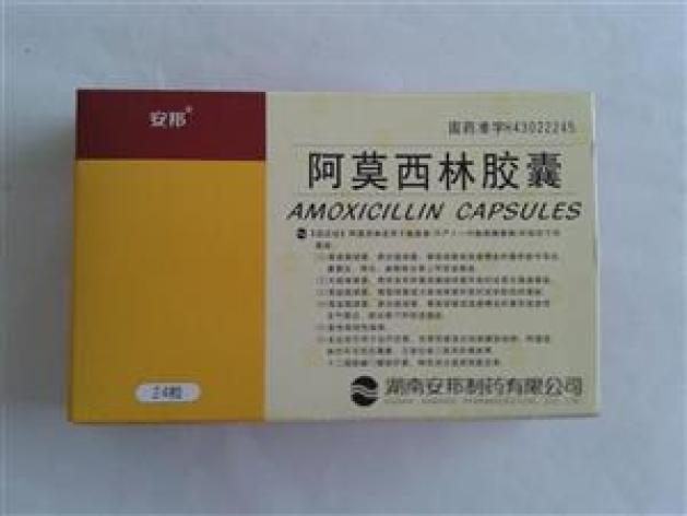阿莫西林胶囊(安邦)包装主图 阿莫西林胶囊(安邦)包装主图