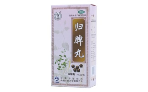 归脾丸(仁济堂)主图 归脾丸(仁济堂)主图