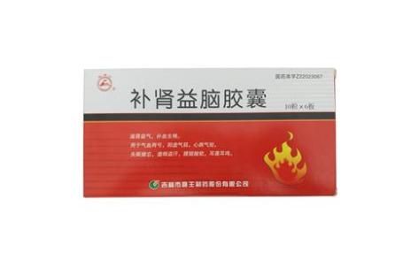 补肾益脑胶囊(龙潭山)主图 补肾益脑胶囊(龙潭山)主图