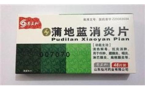 蒲地蓝消炎片(齐应和)主图