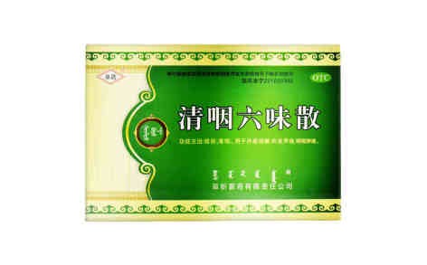 清咽六味散(阜药)主图 清咽六味散(阜药)主图