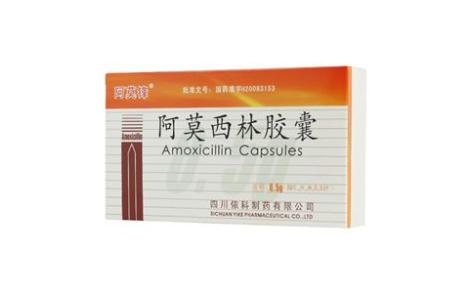 阿莫西林胶囊(阿莫锋)主图 阿莫西林胶囊(阿莫锋)主图