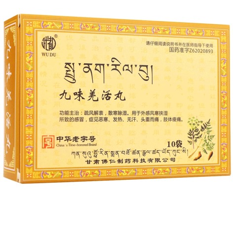 九味羌活丸(武都)包装侧面图2 九味羌活丸(武都)包装侧面图2