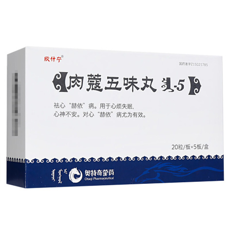 肉蔻五味丸(欣什宁)包装主图
