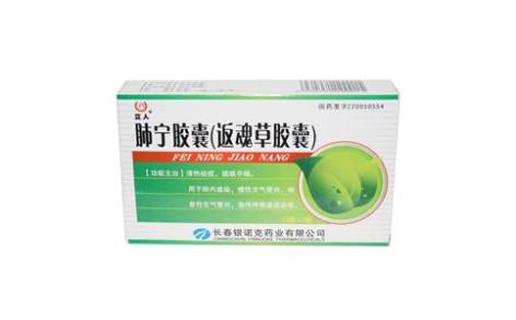 肺宁胶囊(立人)主图 肺宁胶囊(立人)主图