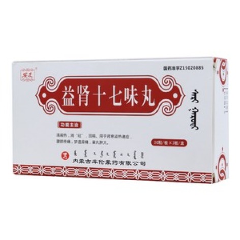 益肾十七味丸(安友)包装主图