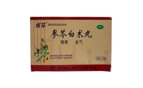 参苓白术丸(维萃)主图 参苓白术丸(维萃)主图