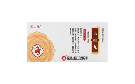 乌梅丸(昆中药)主图 乌梅丸(昆中药)主图