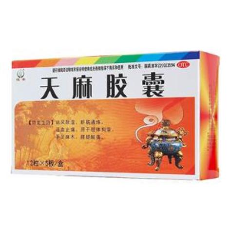 天麻胶囊(恒帝)包装主图 天麻胶囊(恒帝)包装主图