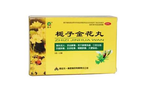 栀子金花丸(秦昆)主图 栀子金花丸(秦昆)主图