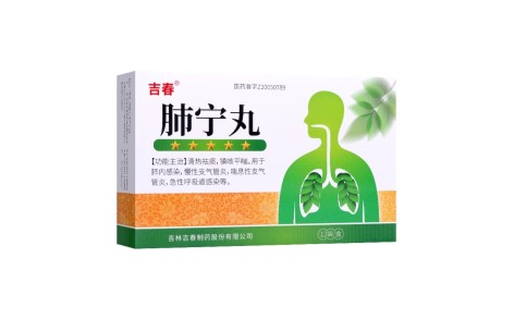 肺宁丸(吉春)主图 肺宁丸(吉春)主图