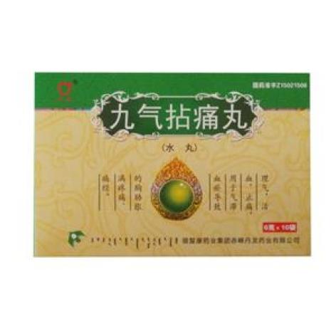 九气拈痛丸(丹龙)包装主图 九气拈痛丸(丹龙)包装主图