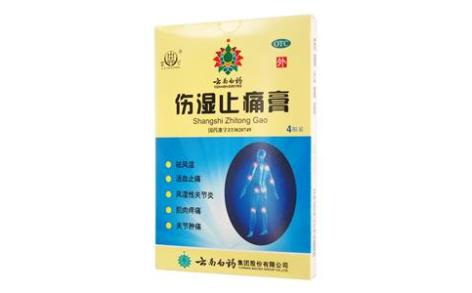 伤湿止痛膏(雷公)主图 伤湿止痛膏(雷公)主图