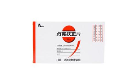 贞芪扶正片(兰药)主图