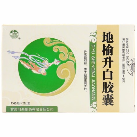地榆升白胶囊(河西)包装主图