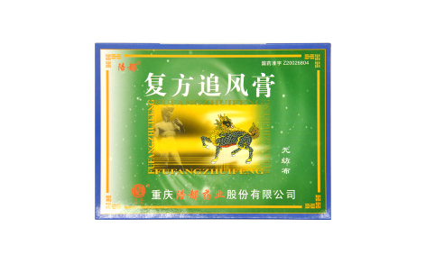 复方追风膏(陪都)主图 复方追风膏(陪都)主图