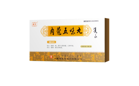 肉蔻五味丸(安友)主图