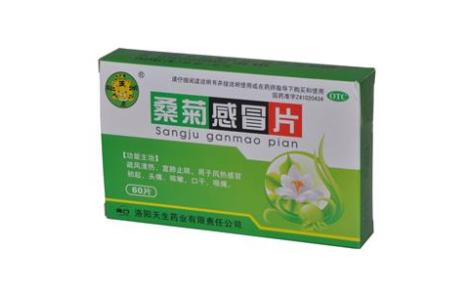桑菊感冒片(龙门)主图