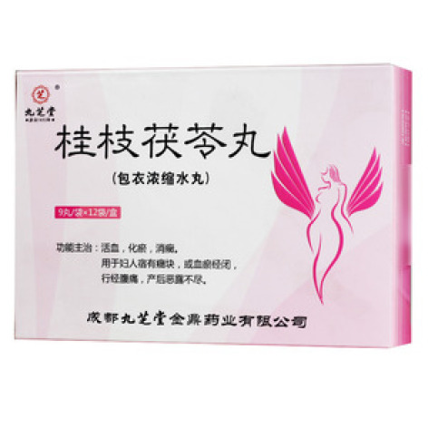 桂枝茯苓丸(九芝堂)包装主图 桂枝茯苓丸(九芝堂)包装主图