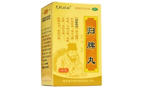 归脾丸(瑞华)主图 归脾丸(瑞华)主图