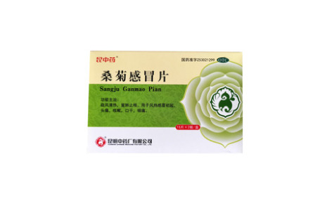 桑菊感冒片()主图