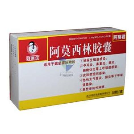 阿莫西林胶囊(阿莫君)包装主图 阿莫西林胶囊(阿莫君)包装主图