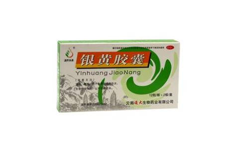 银黄胶囊(滇珍本草)主图 银黄胶囊(滇珍本草)主图