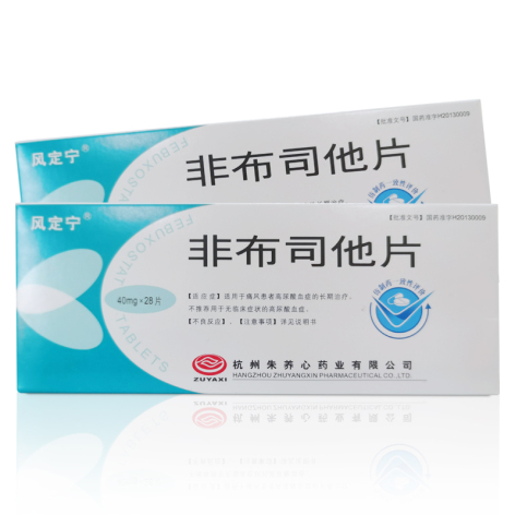 非布司他片(风定宁)包装主图 非布司他片(风定宁)包装主图