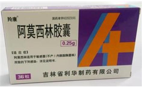 阿莫西林胶囊(羚康)主图 阿莫西林胶囊(羚康)主图