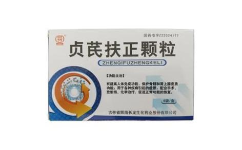 贞芪扶正颗粒(长龙)主图 贞芪扶正颗粒(长龙)主图