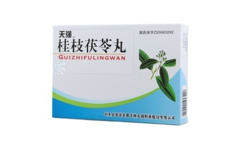 桂枝茯苓丸(天强)主图 桂枝茯苓丸(天强)主图