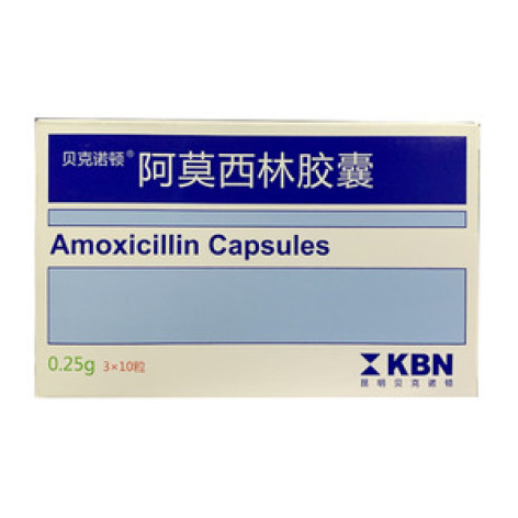 阿莫西林胶囊(贝诺顿)包装主图 阿莫西林胶囊(贝诺顿)包装主图