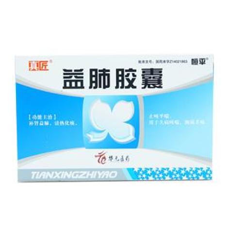 益肺胶囊(恒平)包装主图 益肺胶囊(恒平)包装主图