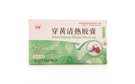 穿黄清热胶囊(端正)主图