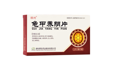 龟甲养阴片(通宝)主图 龟甲养阴片(通宝)主图