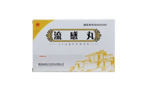 流感丸(格拉丹东)主图